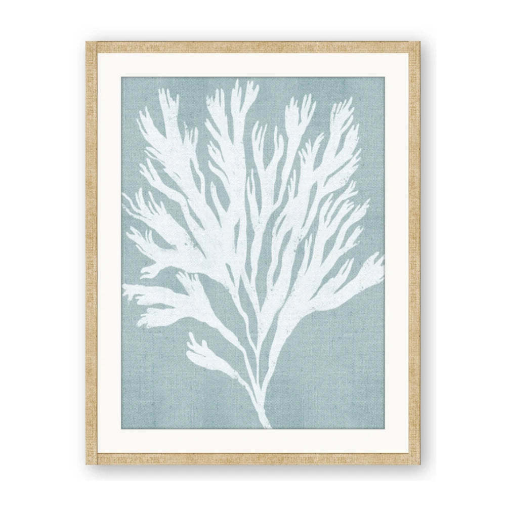 Coral Leaves II