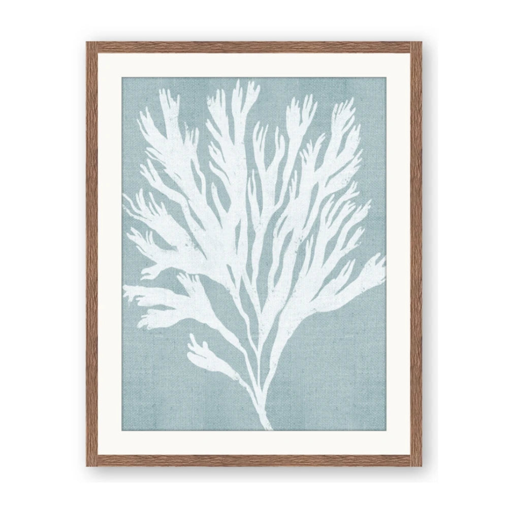 Coral Leaves II