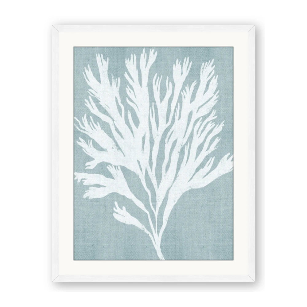 Coral Leaves II