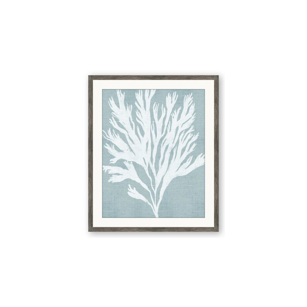 Coral Leaves II