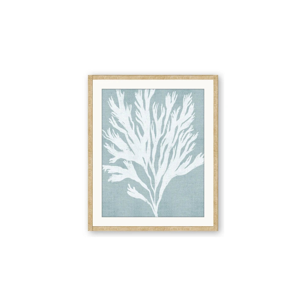 Coral Leaves II