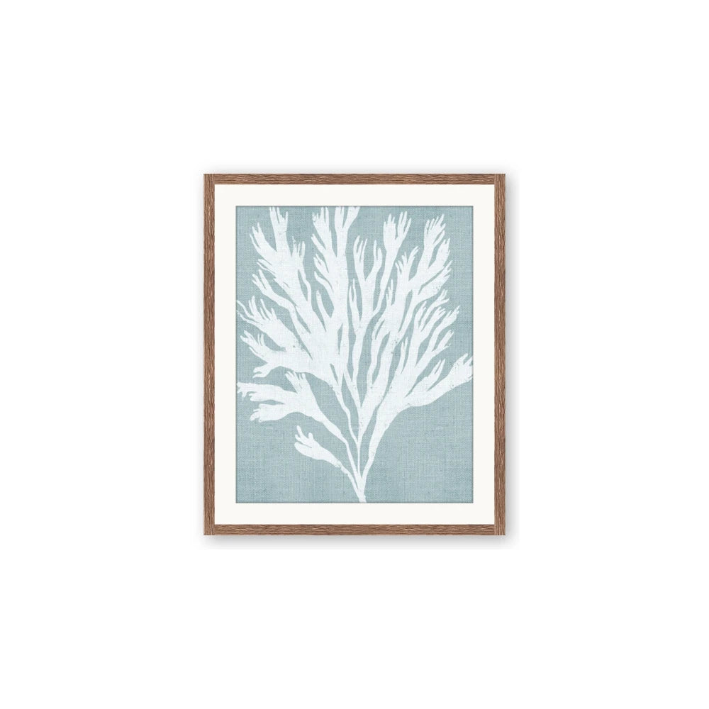 Coral Leaves II