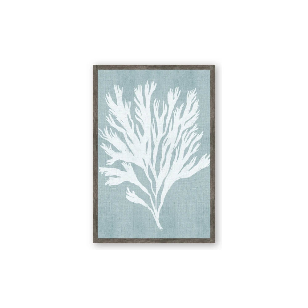 Coral Leaves II