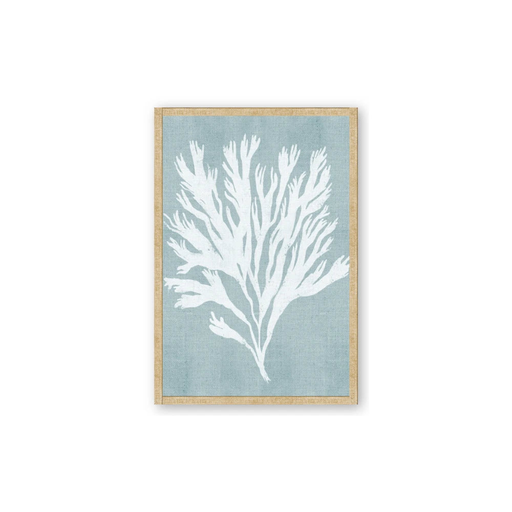 Coral Leaves II