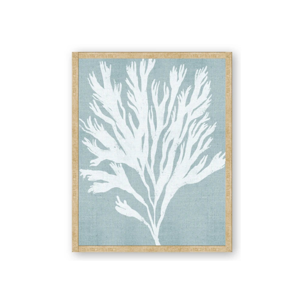 Coral Leaves II
