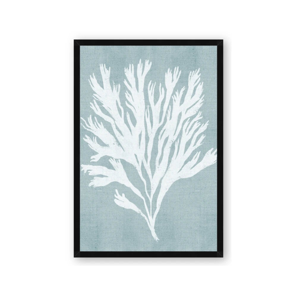 Coral Leaves II