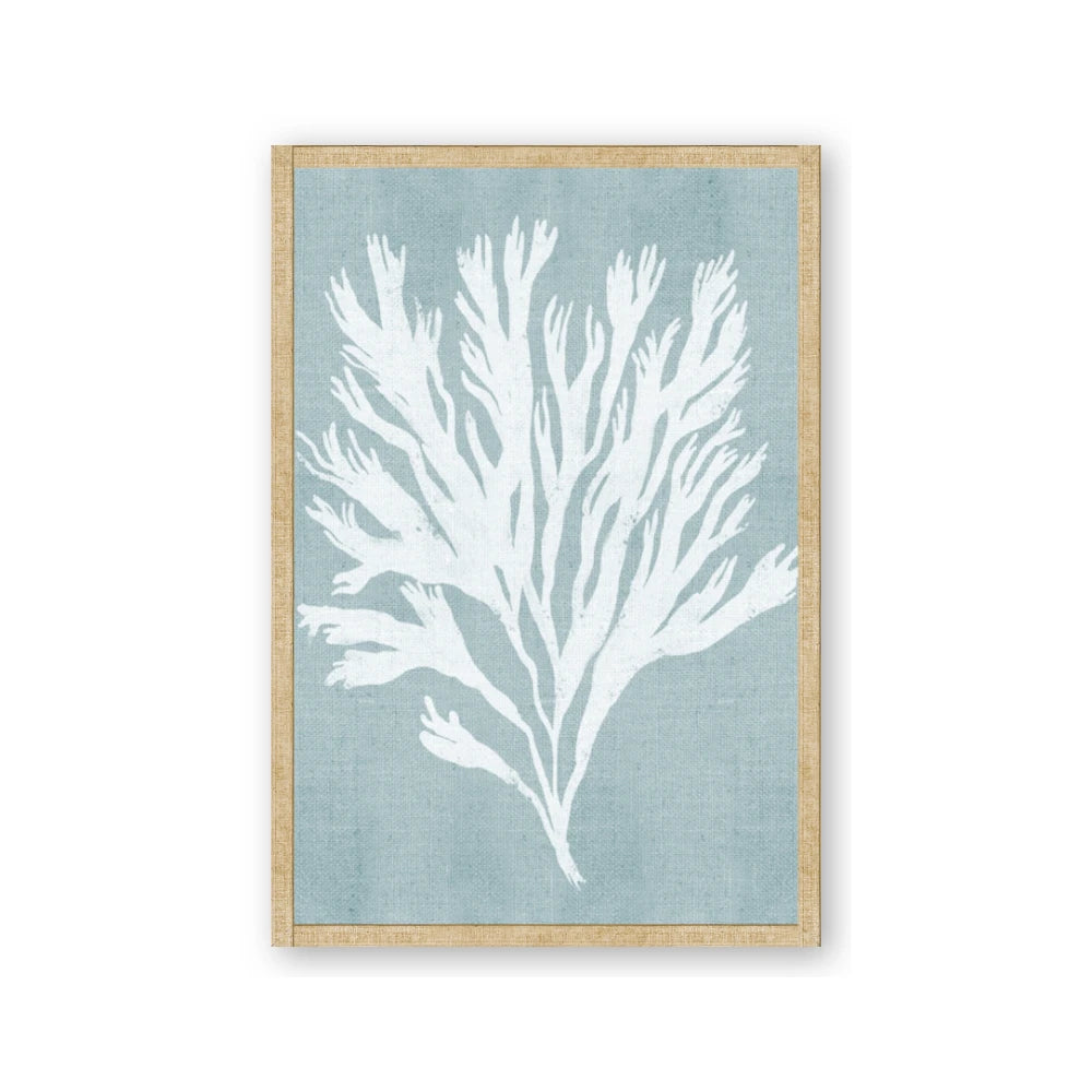 Coral Leaves II