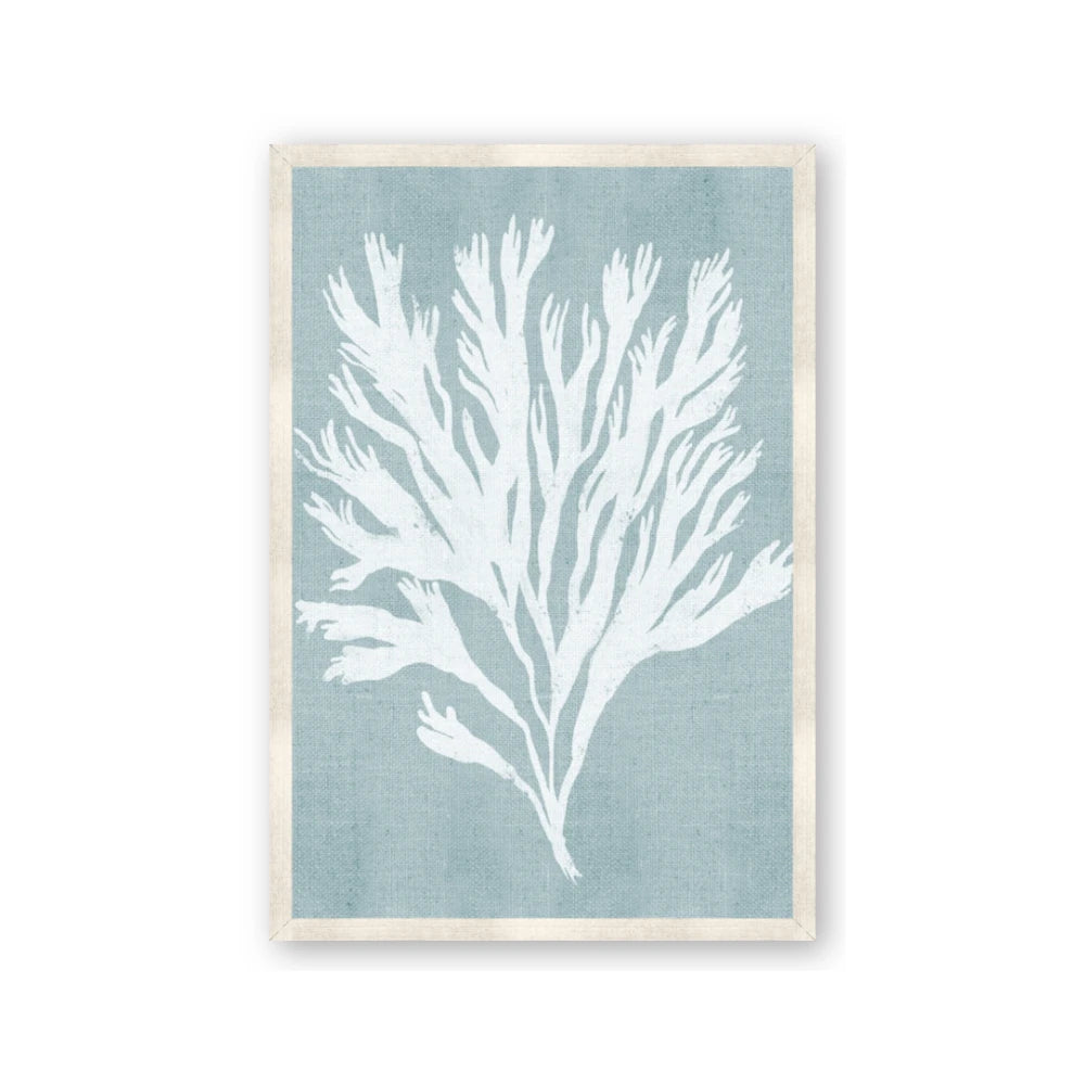 Coral Leaves II