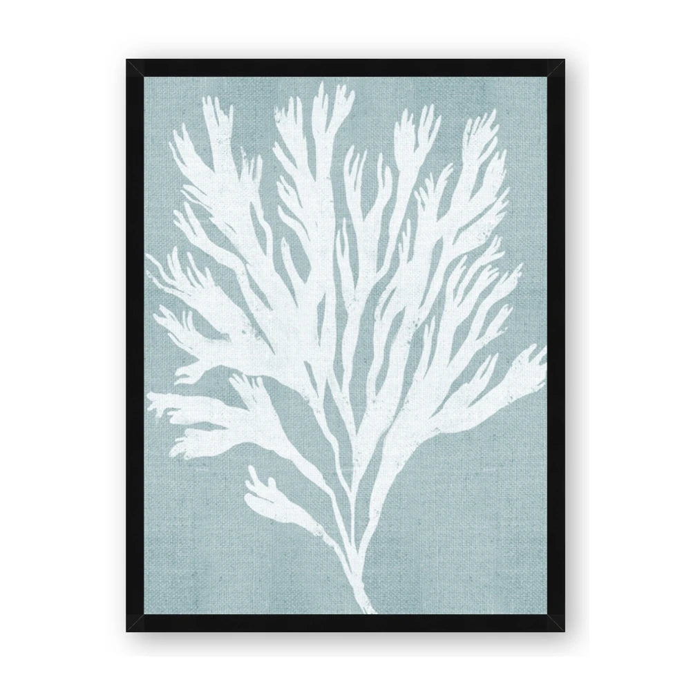 Coral Leaves II