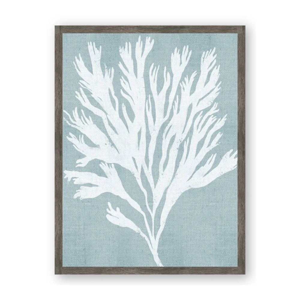 Coral Leaves II