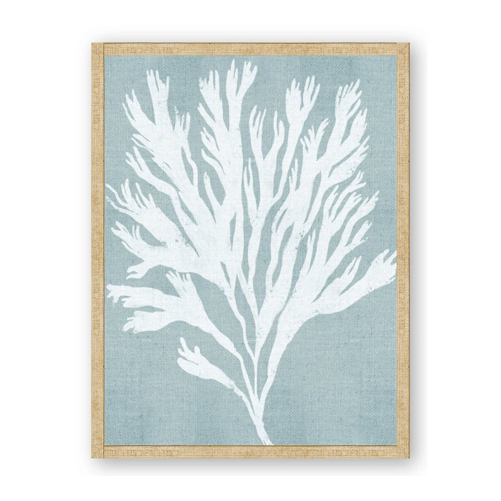 Coral Leaves II