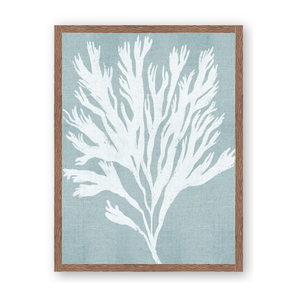 Coral Leaves II