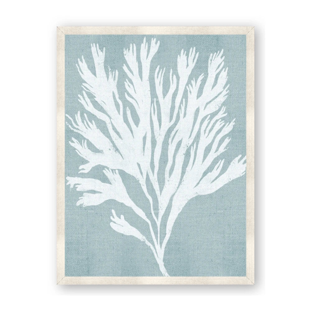 Coral Leaves II