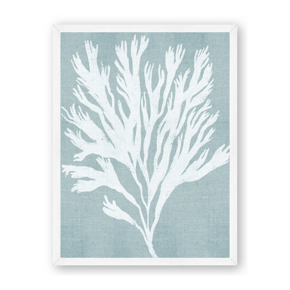 Coral Leaves II