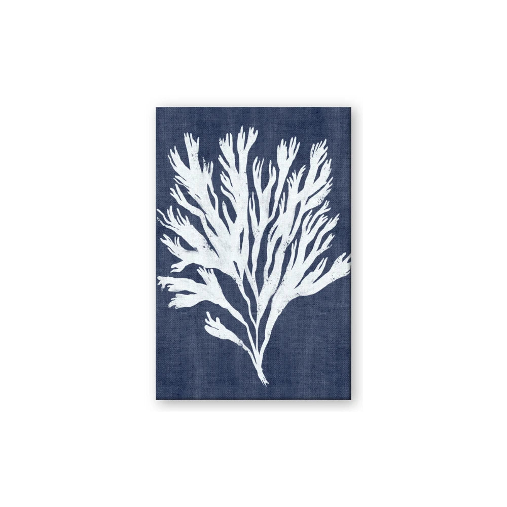 Navy Coral II