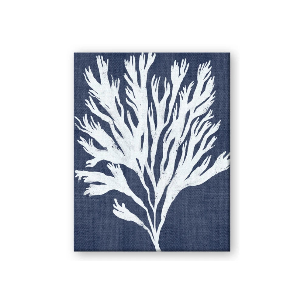 Navy Coral II