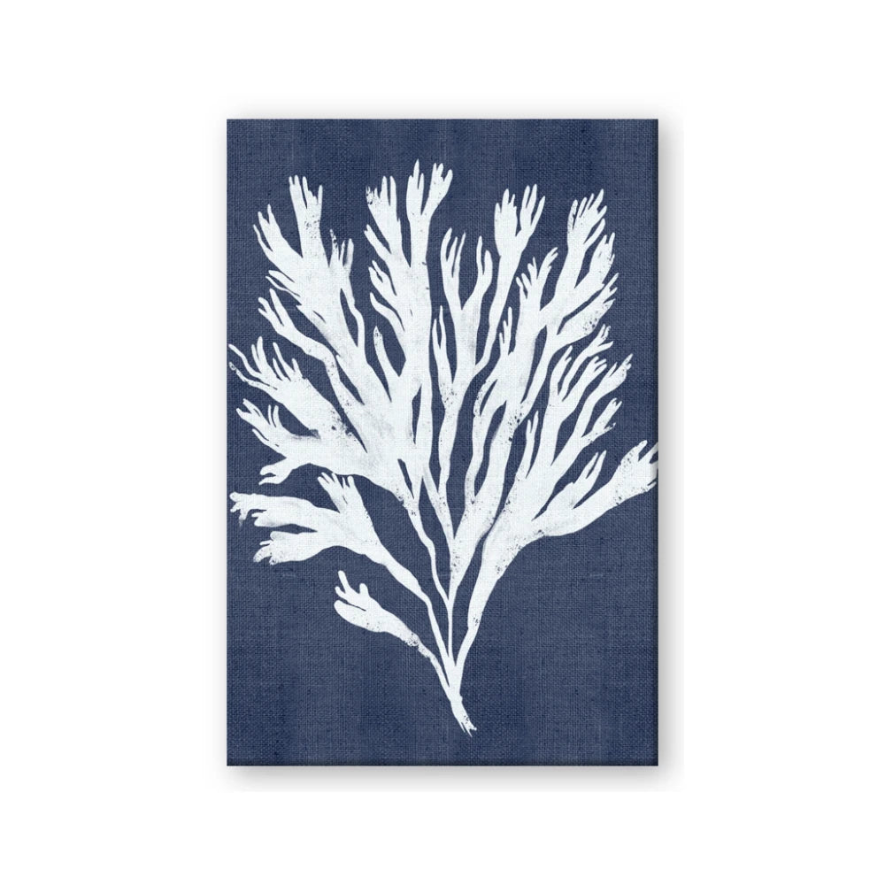 Navy Coral II