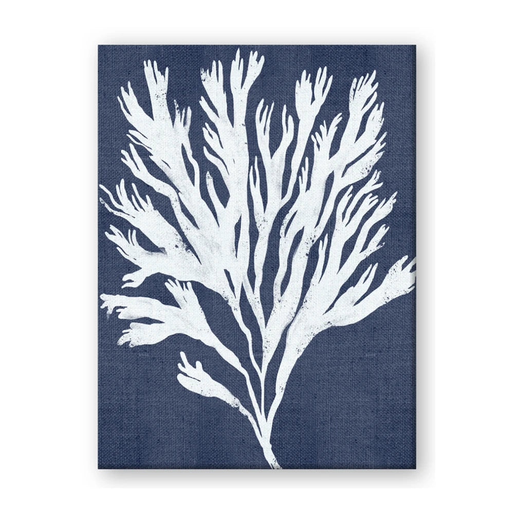 Navy Coral II