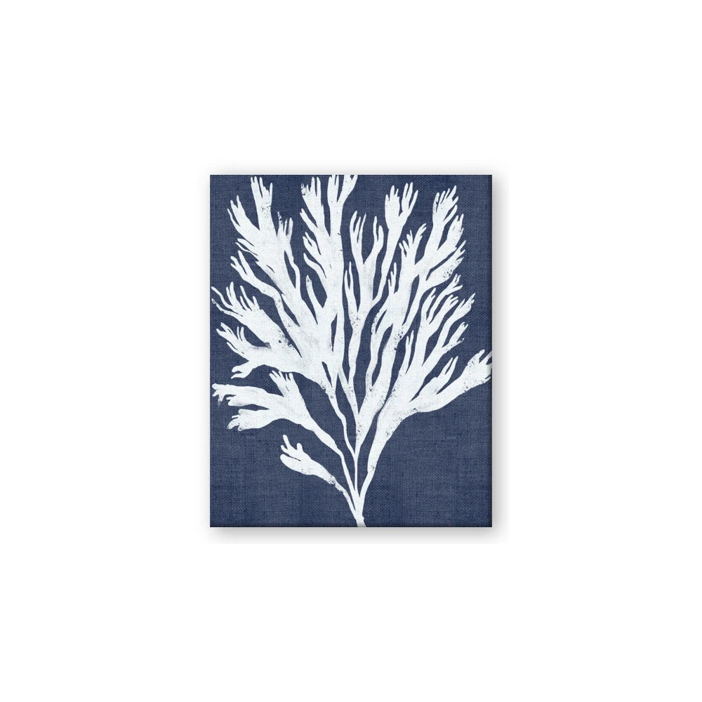 Navy Coral II