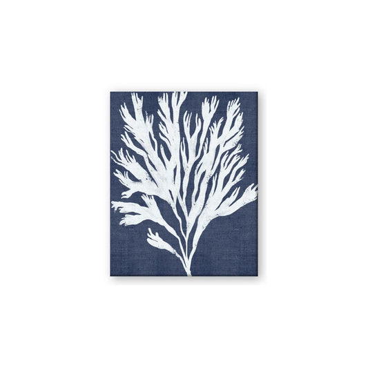 Navy Coral II