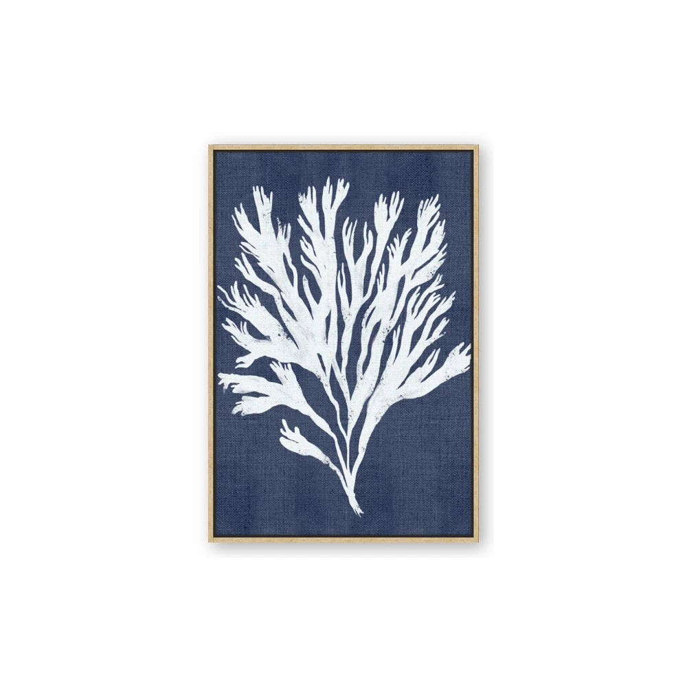 Navy Coral II