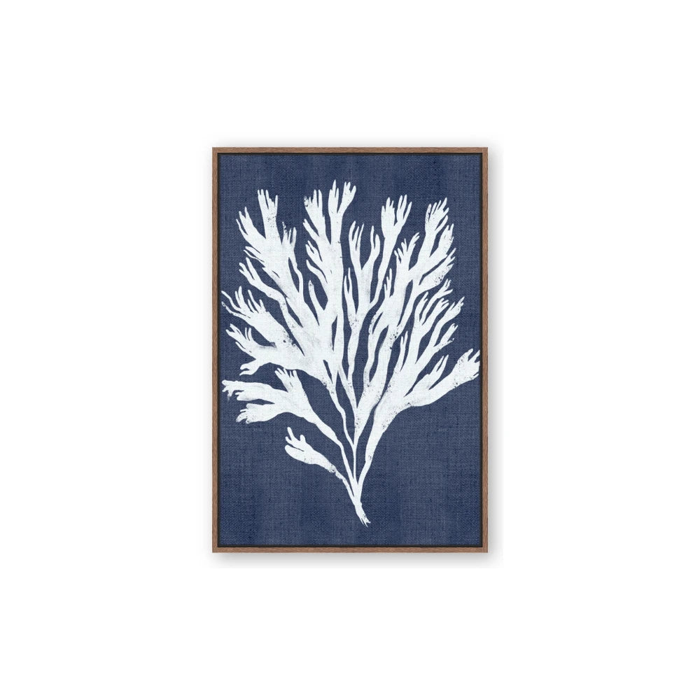 Navy Coral II