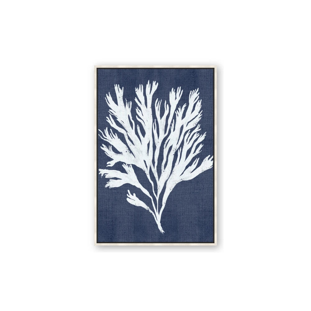 Navy Coral II