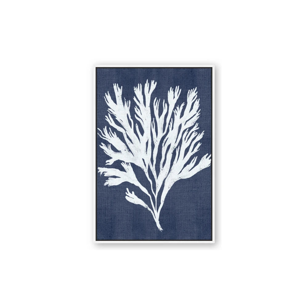 Navy Coral II