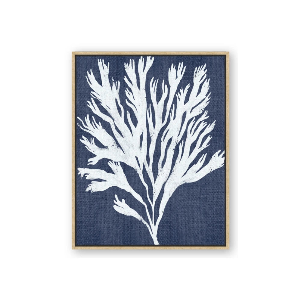 Navy Coral II