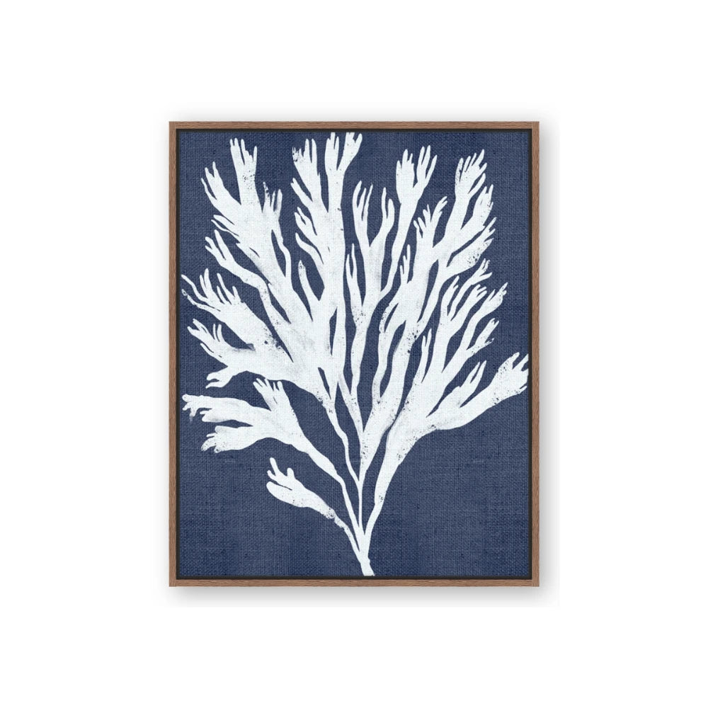 Navy Coral II
