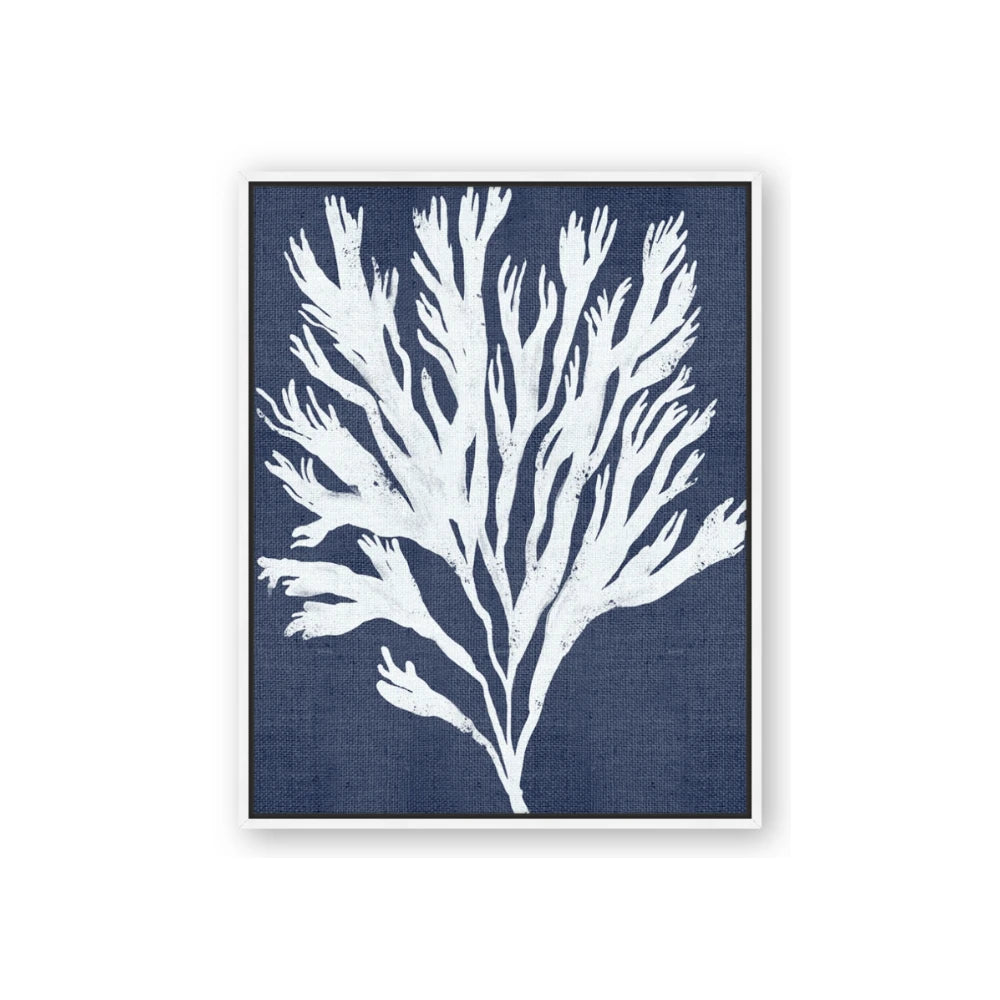 Navy Coral II