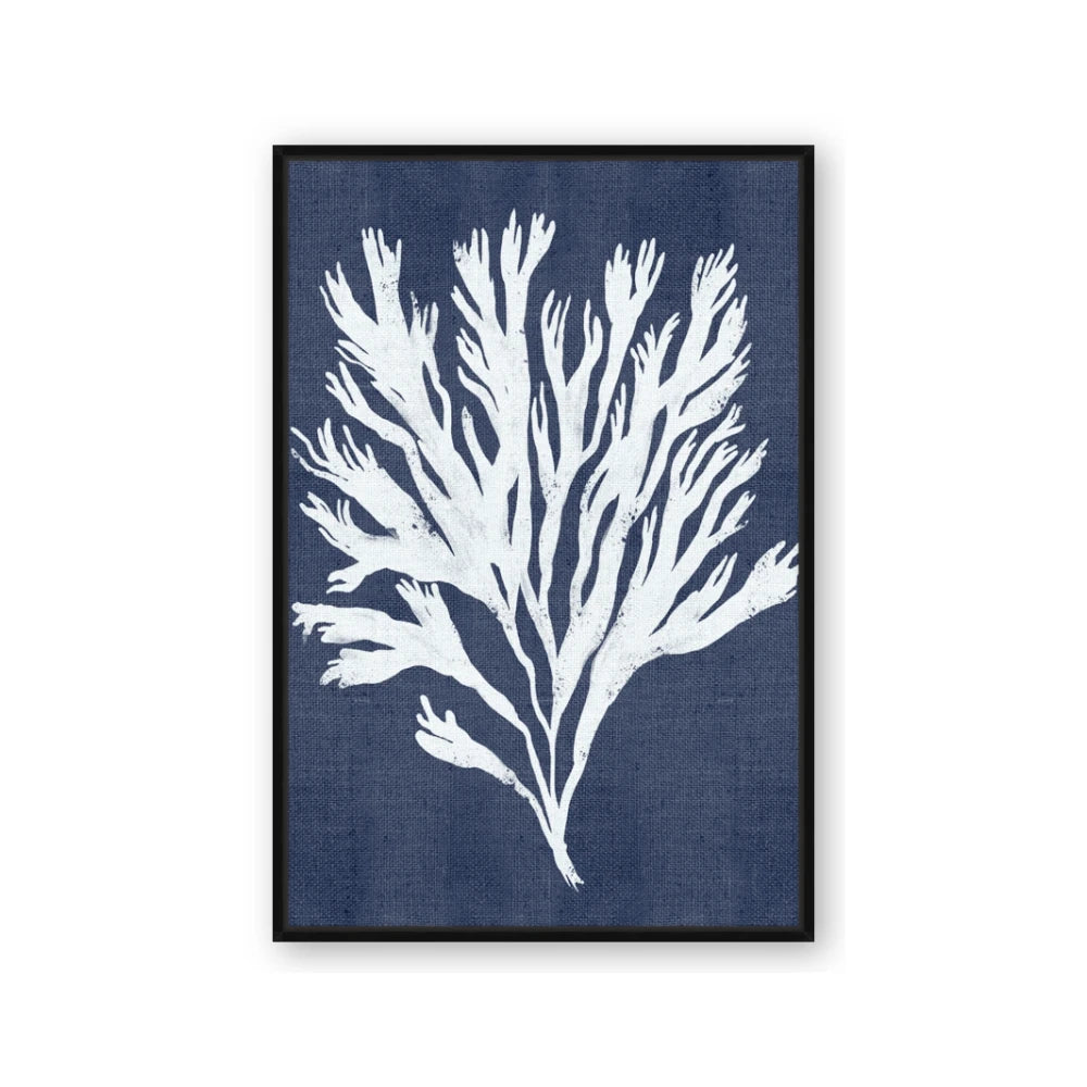Navy Coral II