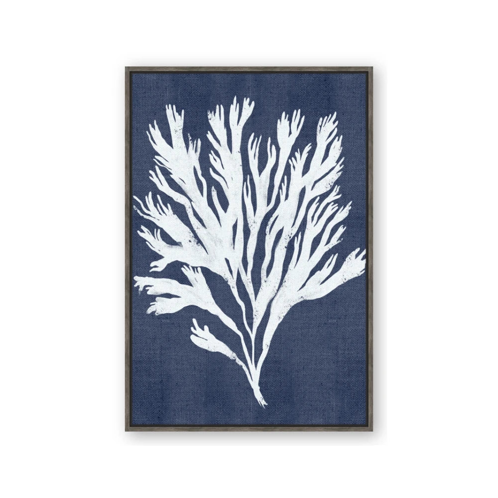 Navy Coral II