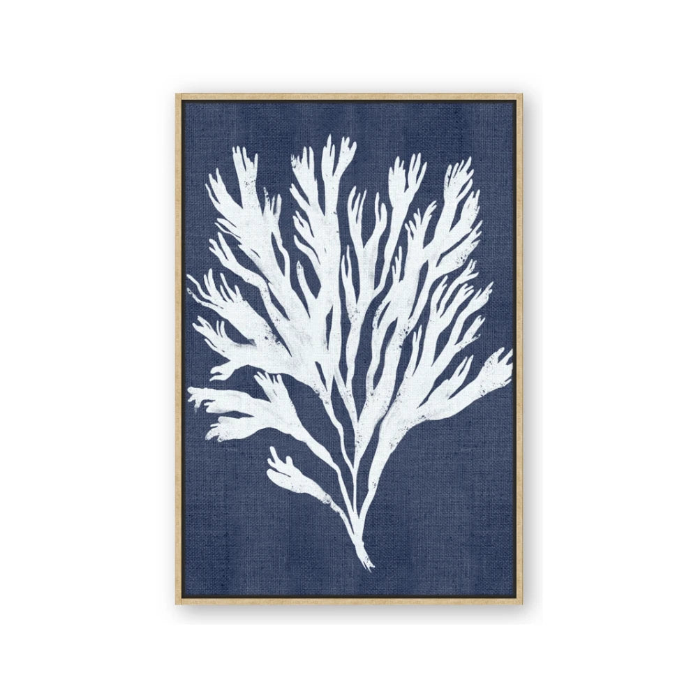 Navy Coral II