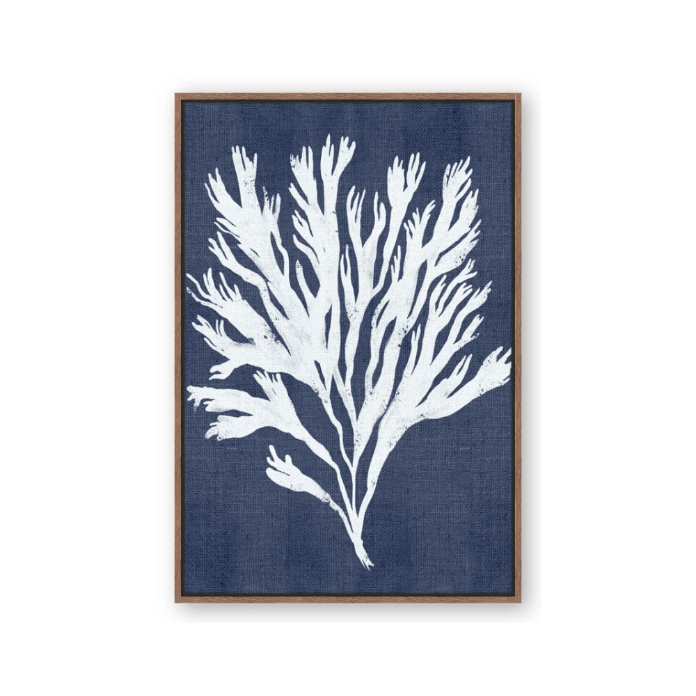 Navy Coral II