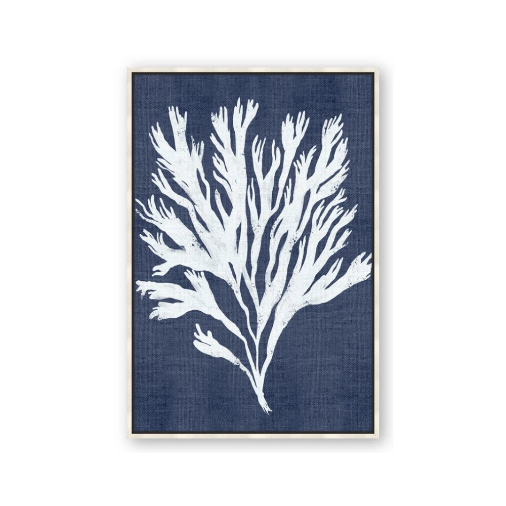 Navy Coral II