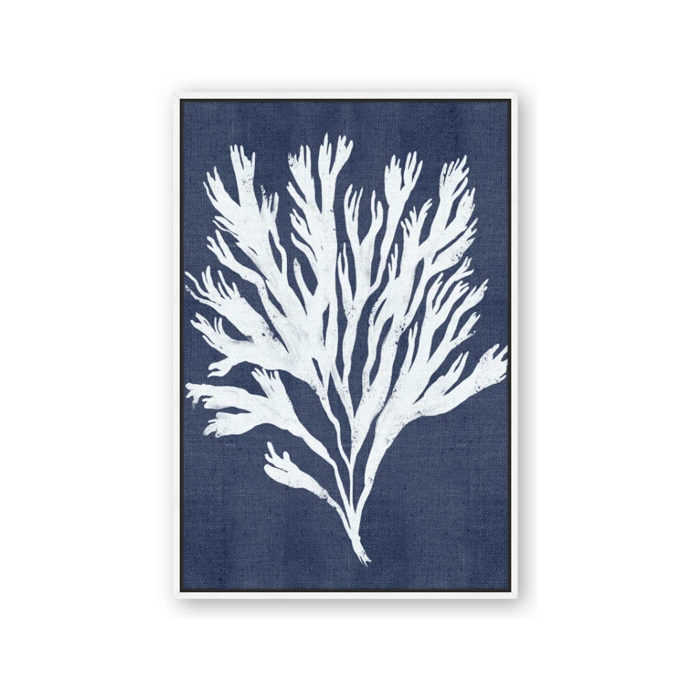 Navy Coral II