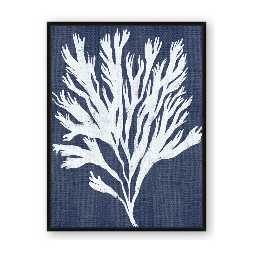 Navy Coral II
