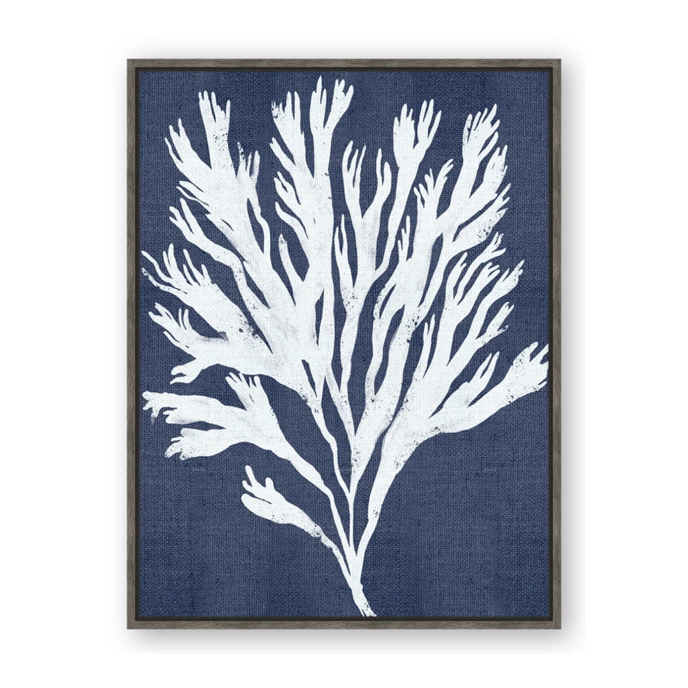 Navy Coral II