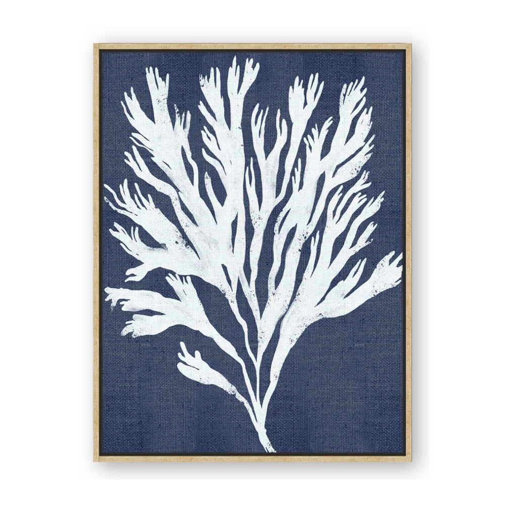 Navy Coral II