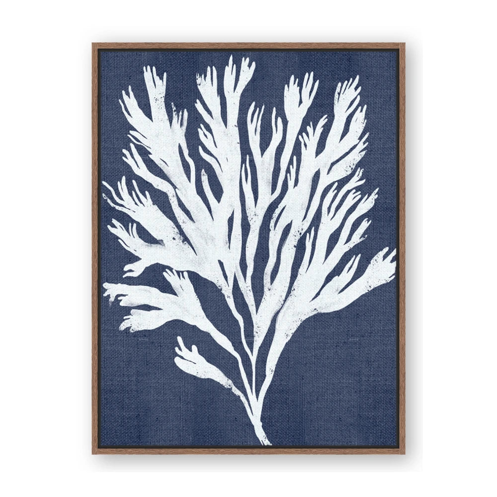 Navy Coral II