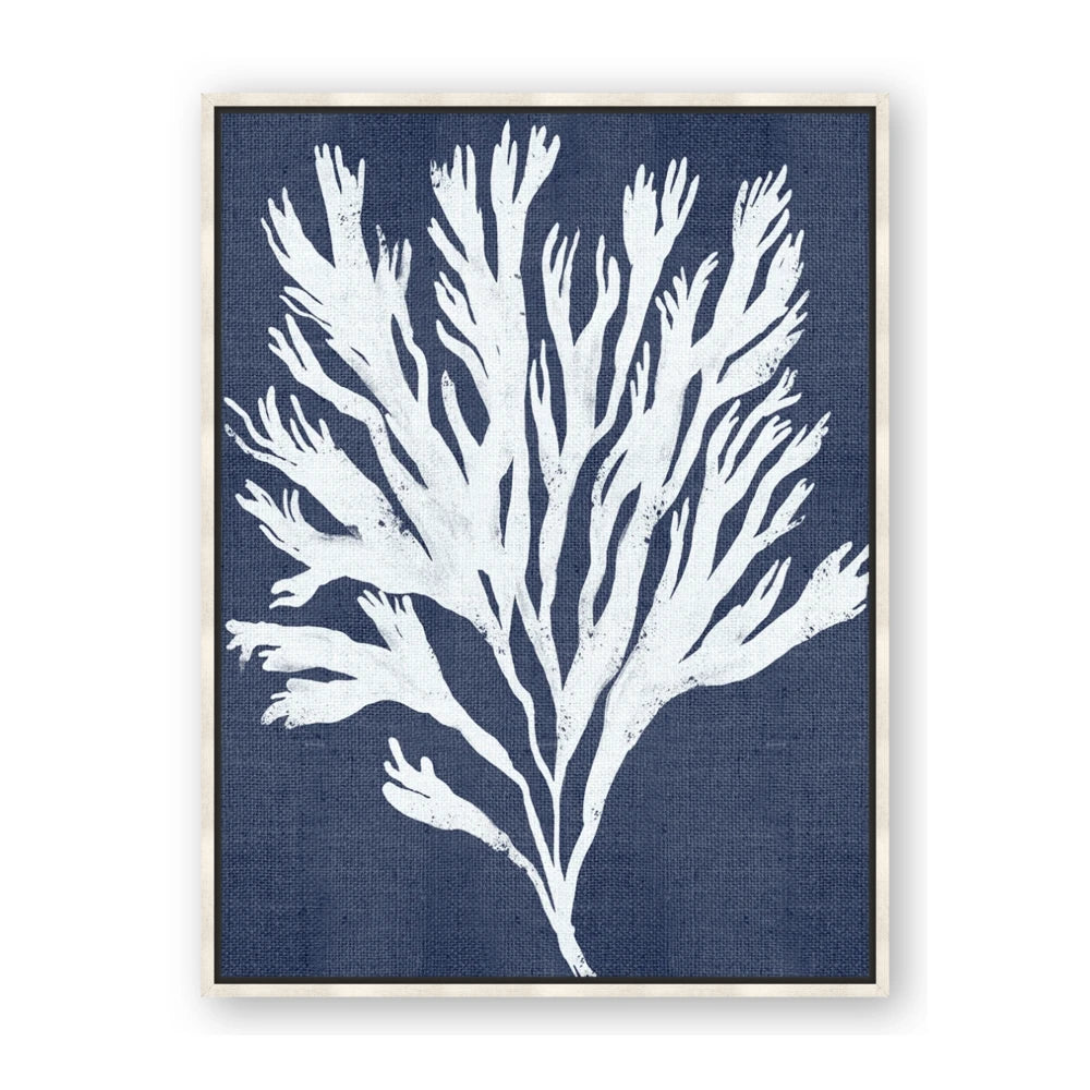 Navy Coral II