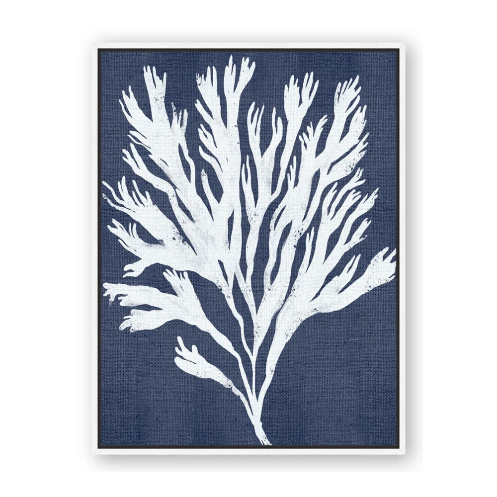 Navy Coral II