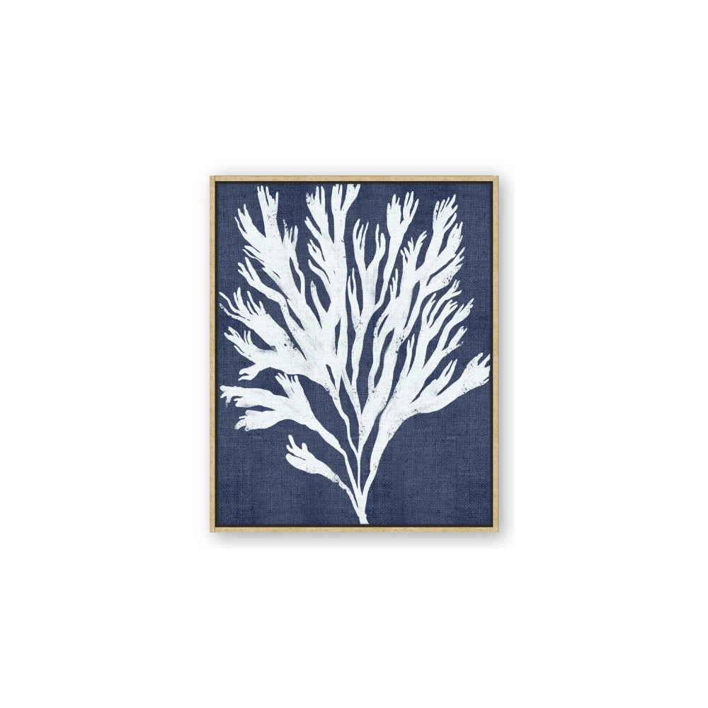 Navy Coral II