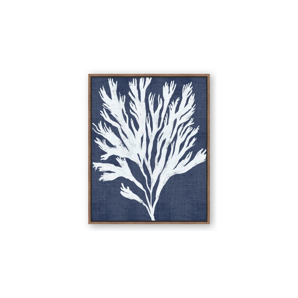Navy Coral II