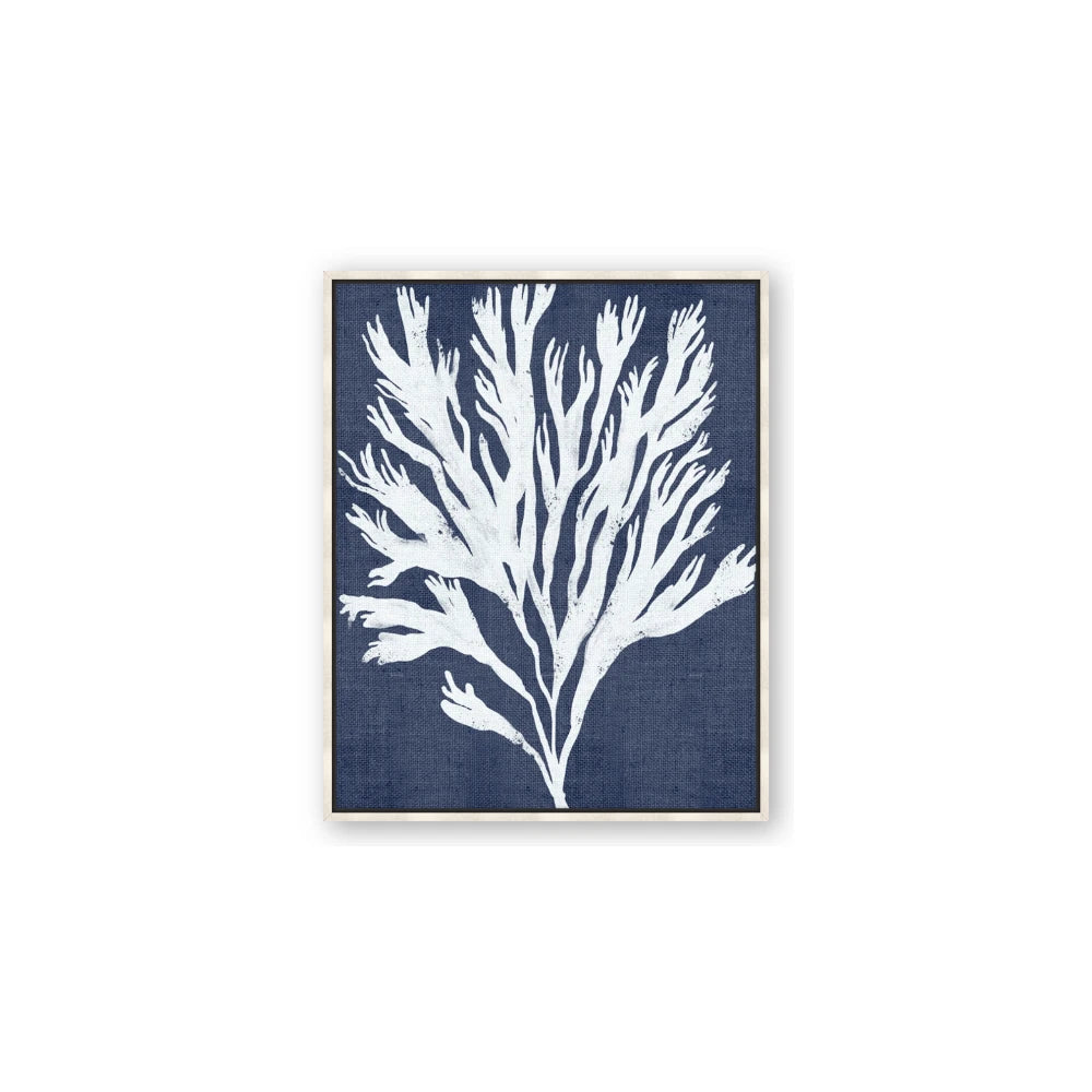 Navy Coral II