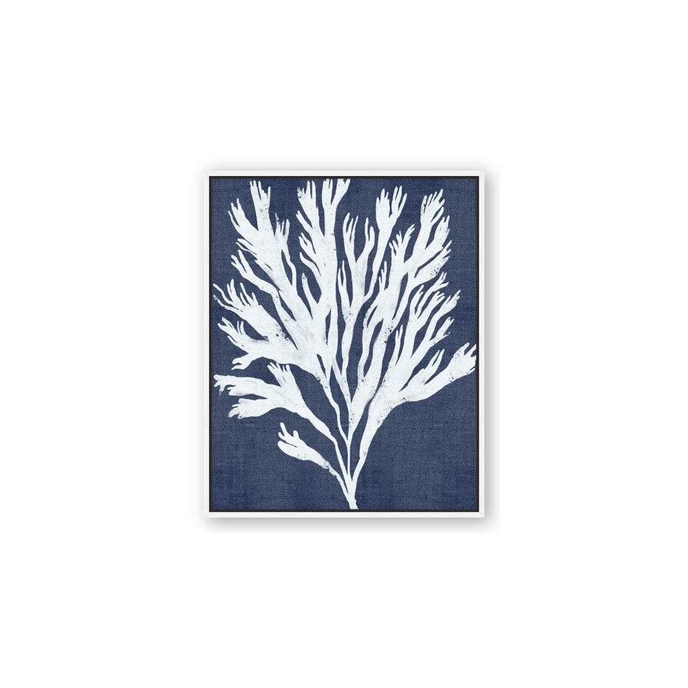 Navy Coral II