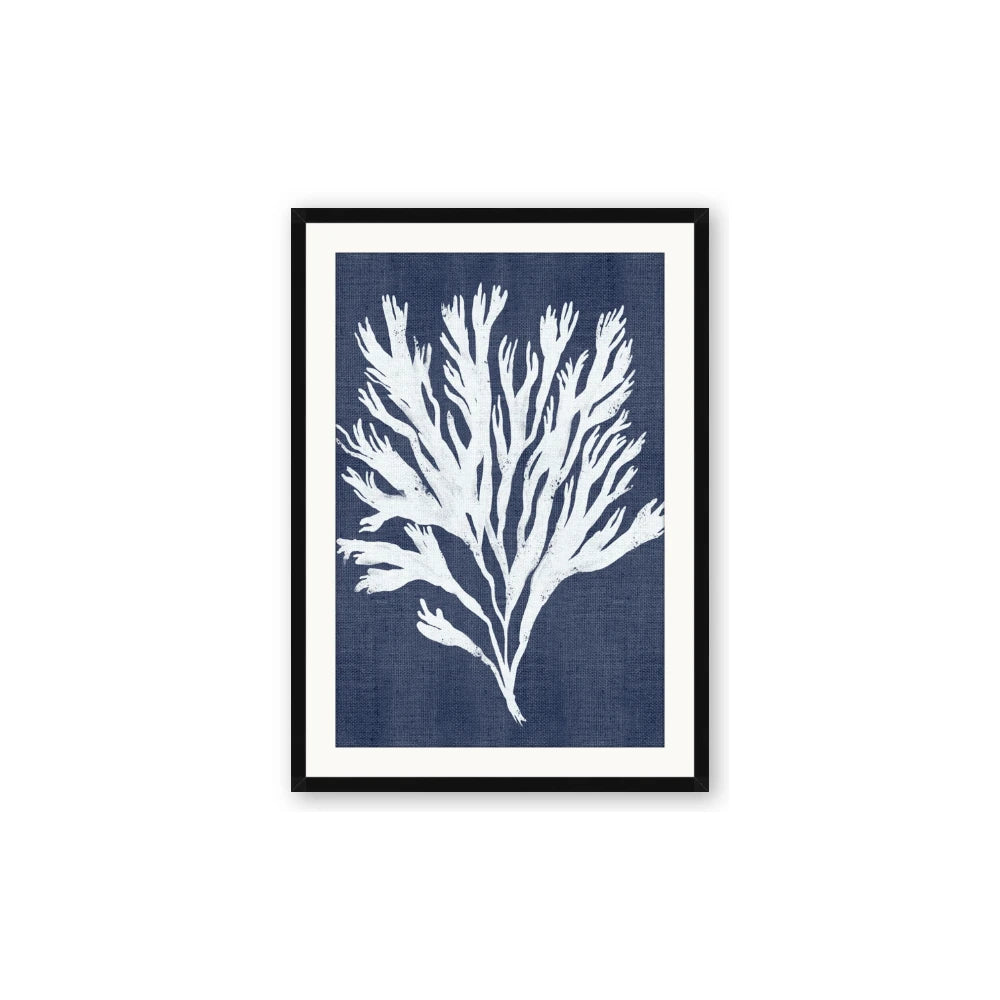 Navy Coral II