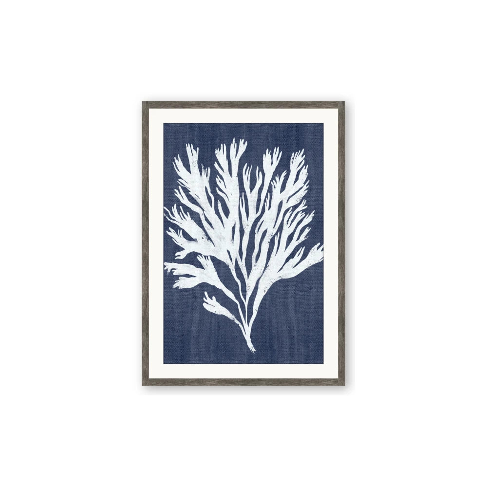 Navy Coral II