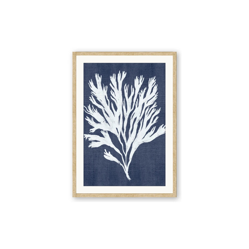 Navy Coral II